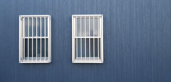 Steel Window Replacement in Arcadia