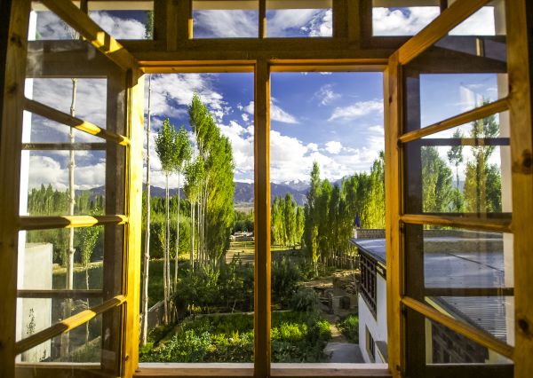 Wood Window Replacement in Arcadia